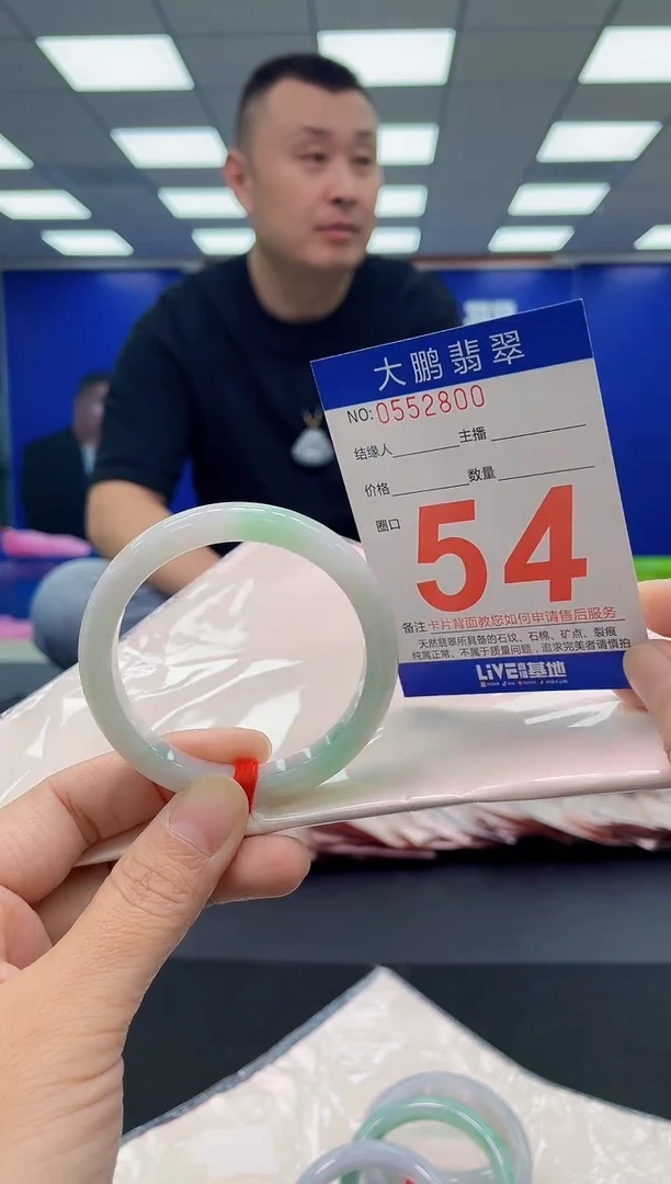 未镶嵌手镯翡翠AAAAAAAAA