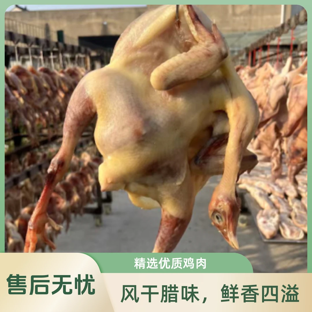 淮扬风味古法腌制特色风干鸡