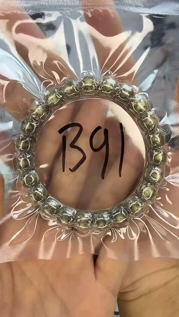 手串星月菩提10/9 石玉料 绿幽灵 星点货 同枝果