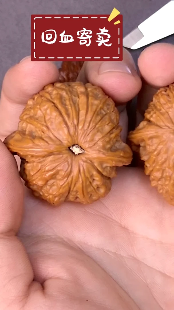 【闪购商品】文玩核桃把件血麒麟04