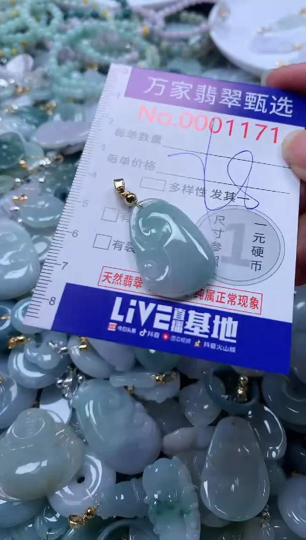 翡翠未镶嵌吊坠(不含链)1171