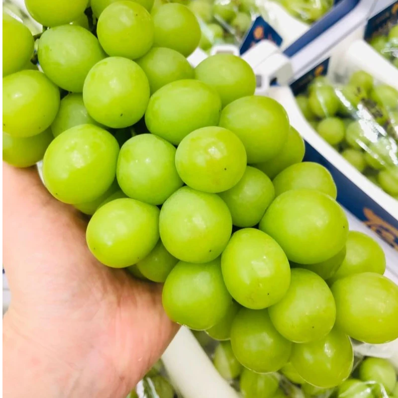 【散装】[N]阳光玫瑰 份/3斤以上 仅限太原晋中吕梁忻州可拍