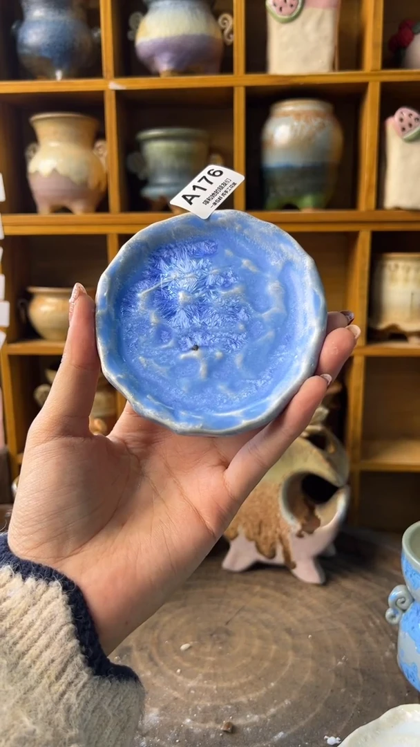 176【多肉花盆多肉盆】