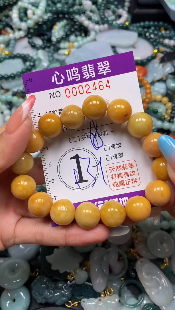 翡翠未镶嵌颈饰闪购002464