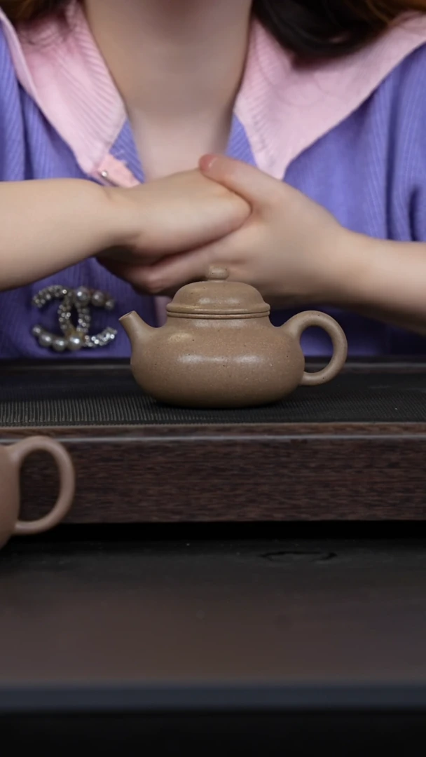 【闪购商品】紫砂茶壶鲨皮青容天