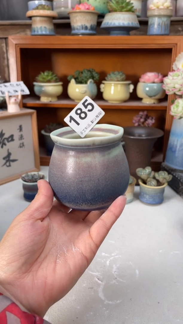 瓷片185小芳直播编号
