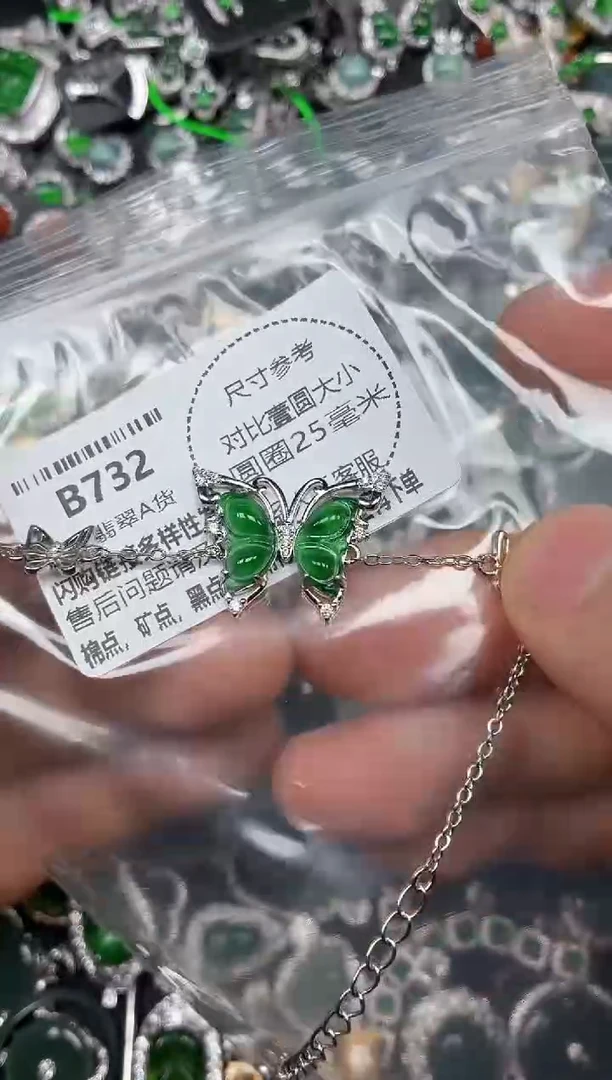 颈饰未镶嵌翡翠B732手链