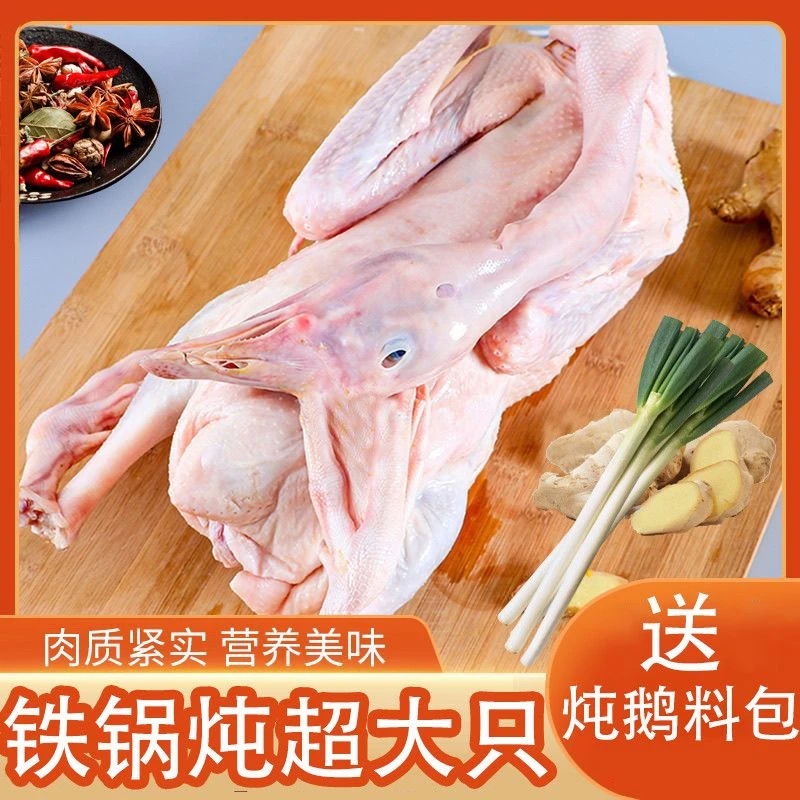 【表哥专属】整只10斤超大现杀大雁鹅 新鲜驰雁带头带爪带翅