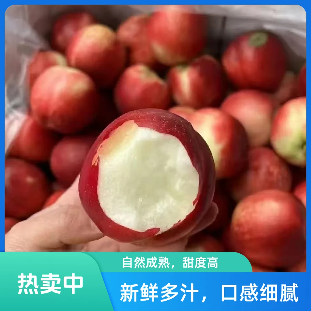 【京津冀次日达】智力白油桃3±斤起拍  脆桃软硬应季水果 酸甜可口嘎嘣脆 丰满多汁中果 顺丰包邮上门