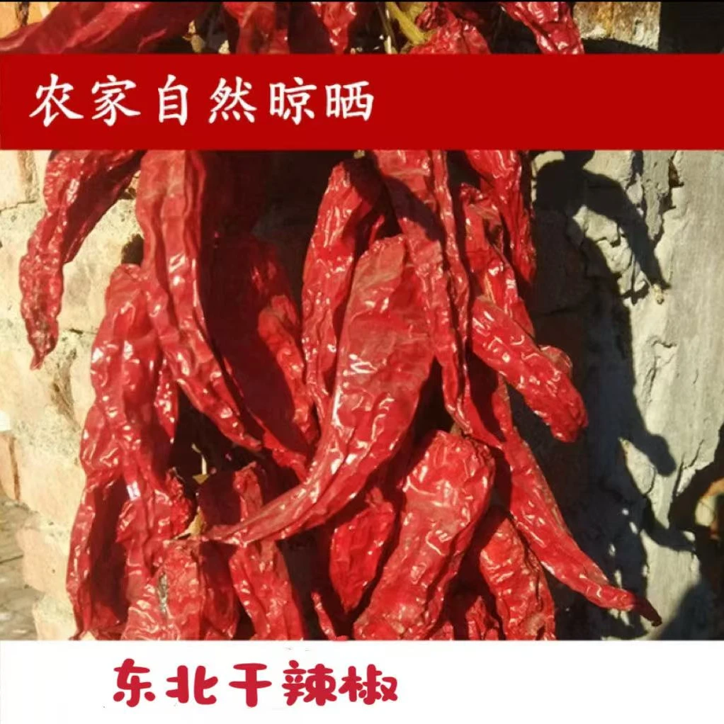 正宗东北红辣椒干辣椒当年自然晾晒人工挑选香辣包邮