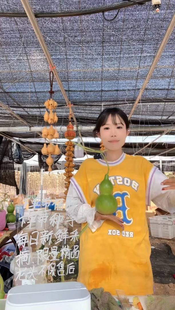 558天然葫芦摆件 一物一拍龙头不保售后
