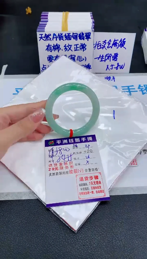 未镶嵌手镯翡翠1