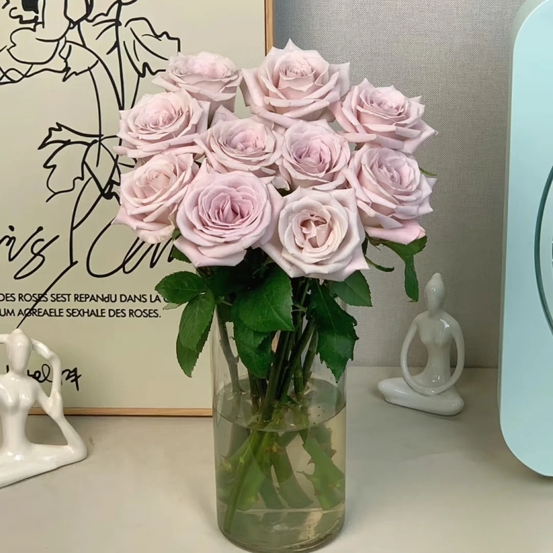 特价【曼塔单头玫瑰10枝】鲜花次日达批发直播品质鲜花 全场任意满两单顺丰包邮