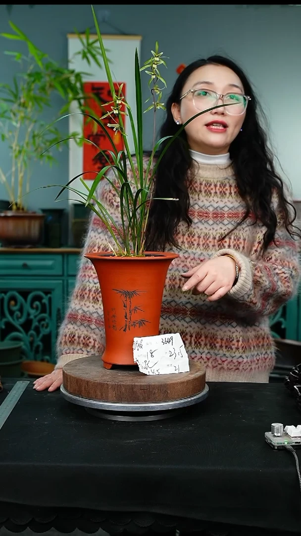 紫砂花盆3649花泥紫砂花盆