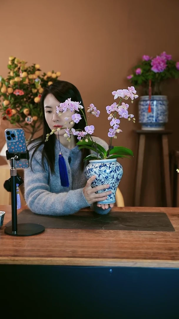 【闪购商品】盆景梦境