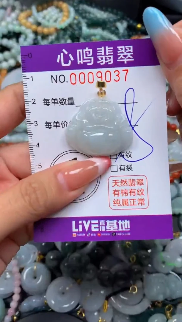 翡翠未镶嵌颈饰闪购009037