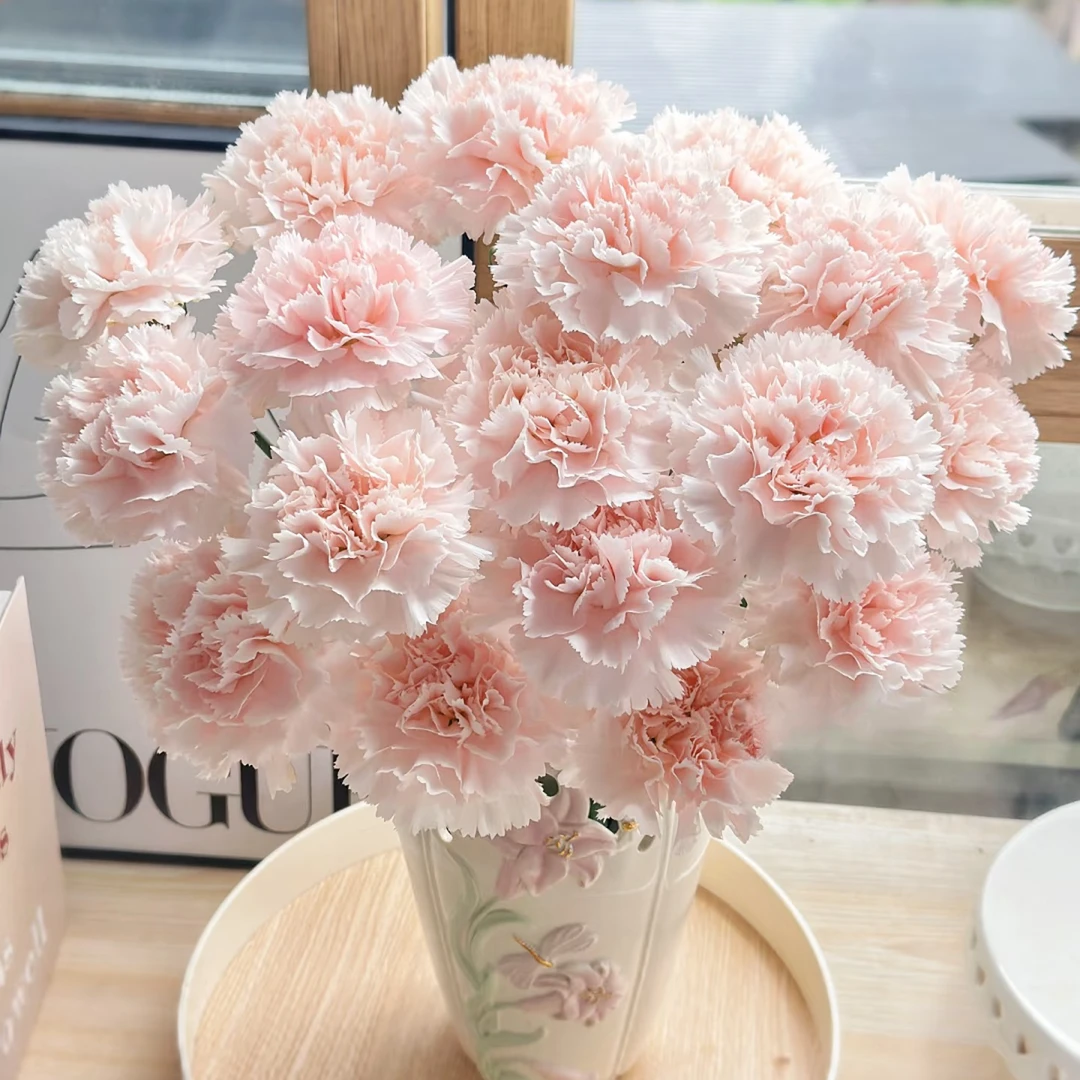 【云舍花卉】【流光粉】康乃馨任意满两单及以上鲜花包邮