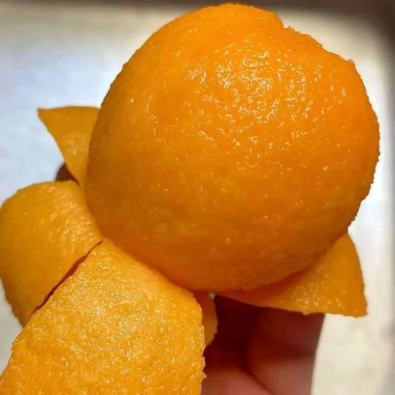 南棠果苗基地【大五星枇杷】正宗龙泉大五星枇杷苗