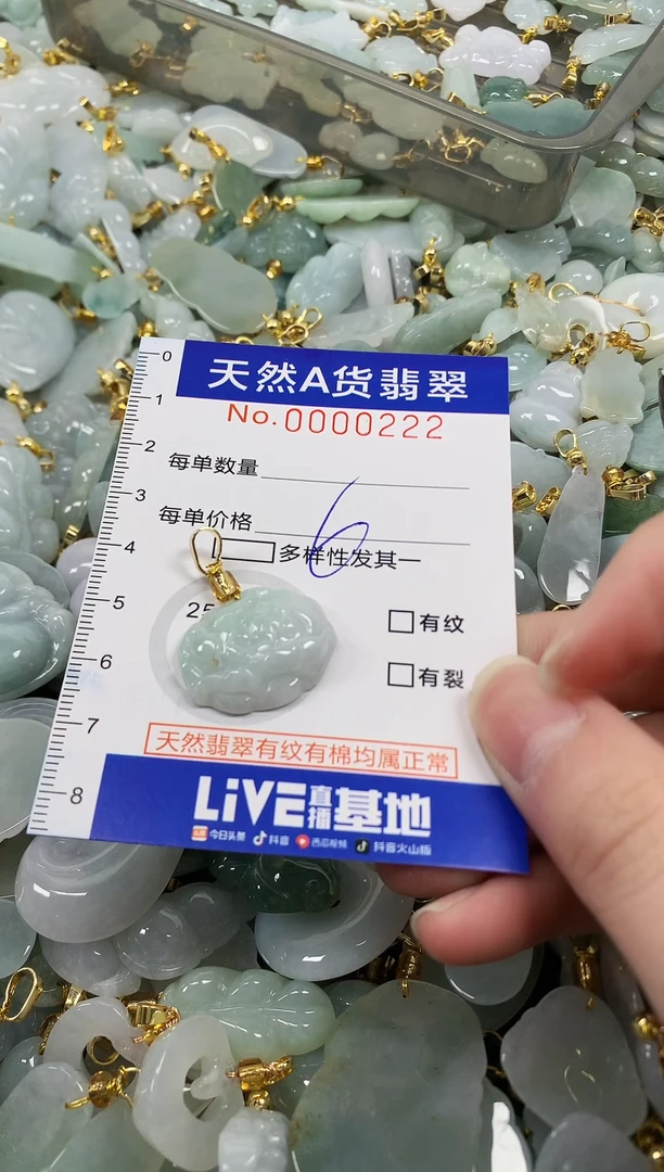 颈饰未镶嵌翡翠纯天然a货翡翠