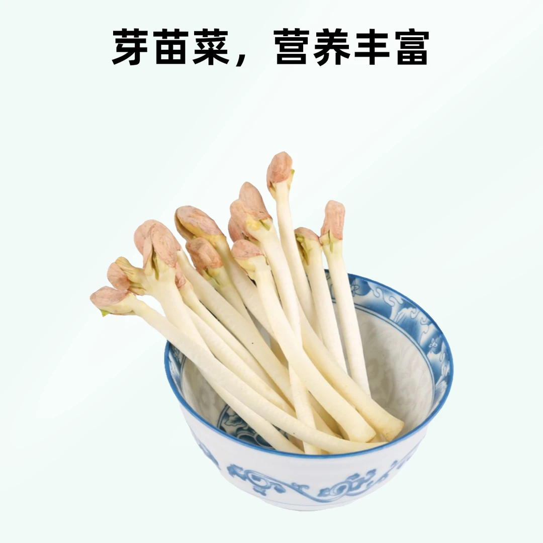【A41】新鲜花生芽（180g）芽菜