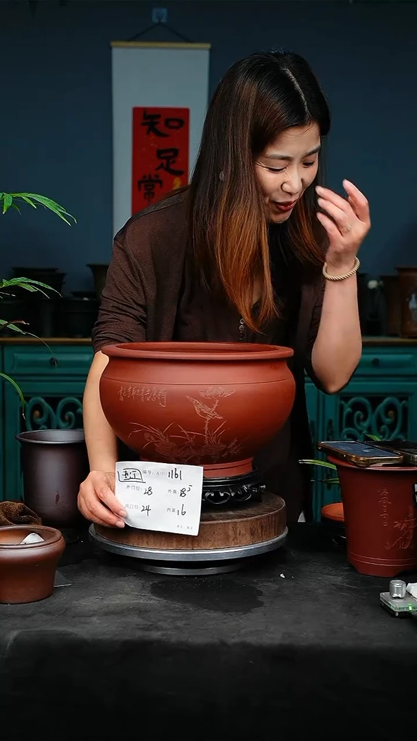 紫砂花盆花卉园艺1161+S