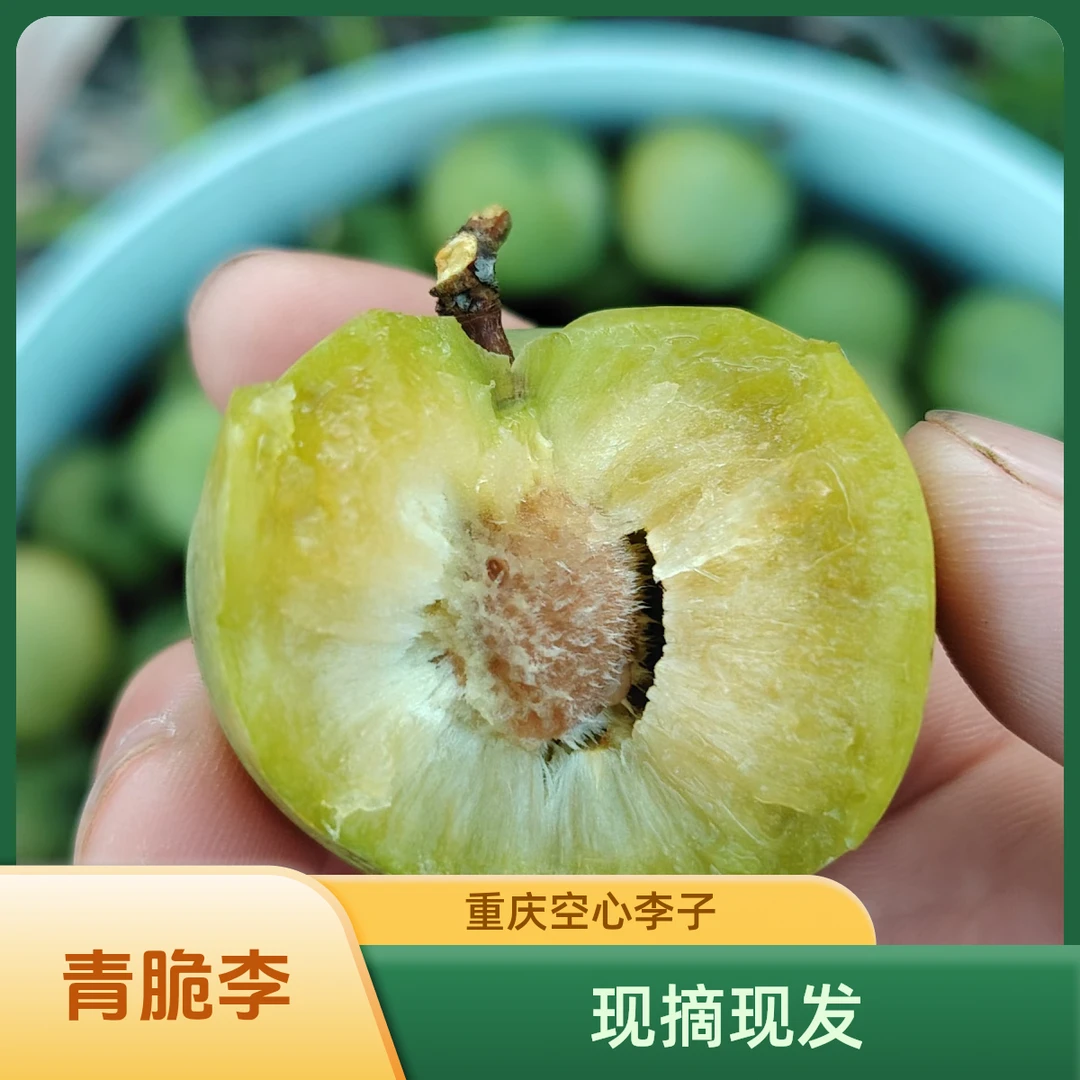 青脆李子脱骨李子重庆脆李高山农家空心江安李子现摘现发应季水果