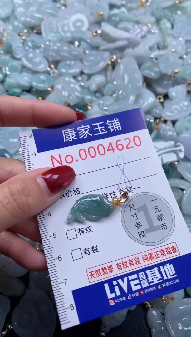 颈饰未镶嵌翡翠4620