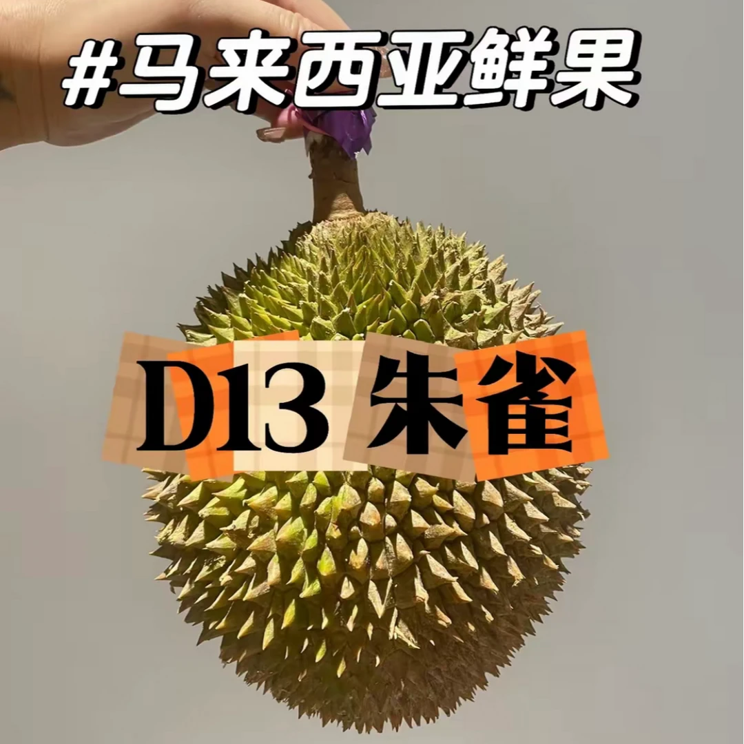 【朱雀液氮榴莲D13】马来西亚进口 带壳 香甜糯滑整果约6斤（3粒）新鲜核大（默认开果）榴莲同城配朱雀马来西亚