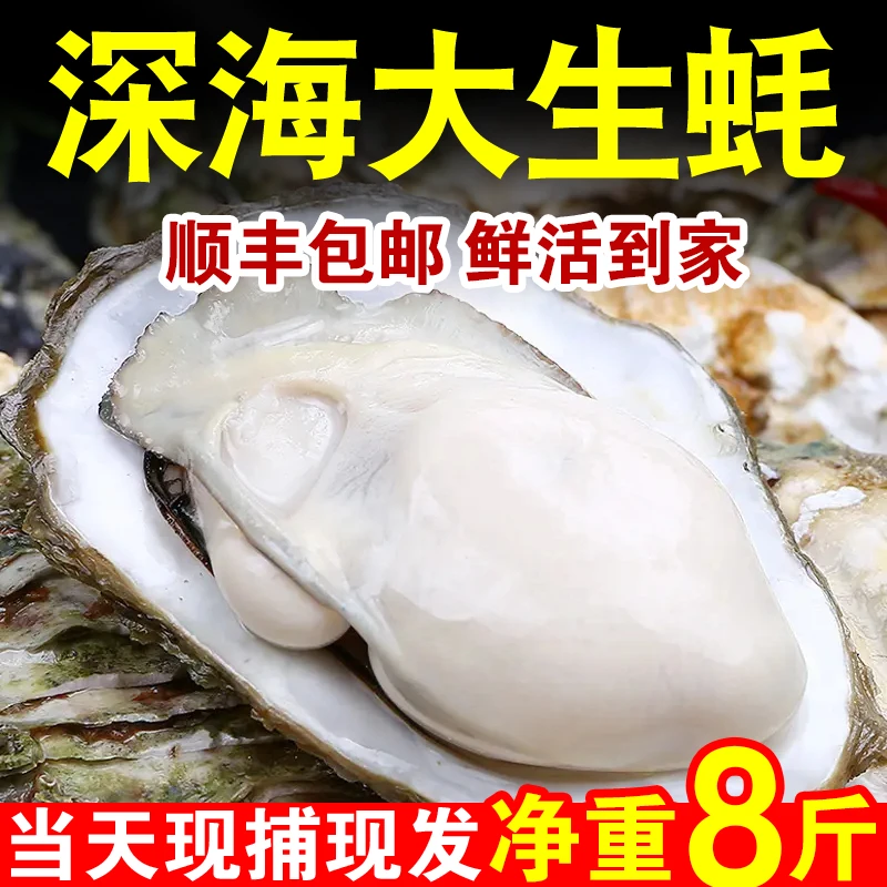 买5斤送3斤【到手8斤正宗乳山生蚝】清蒸煎炸烧烤刺身大蚝 顺丰包邮