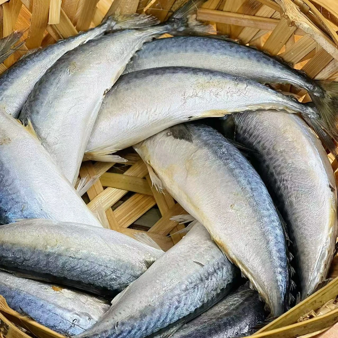 潮汕打冷熟鱼饭新鲜大条花仙鱼饭