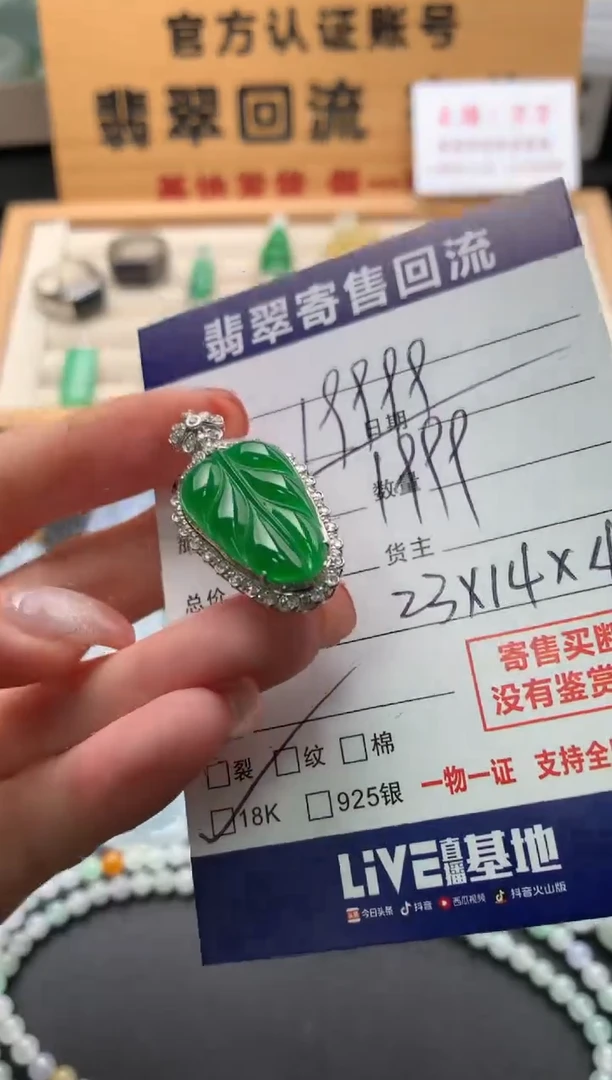 翡翠18K金镶嵌颈饰10140098