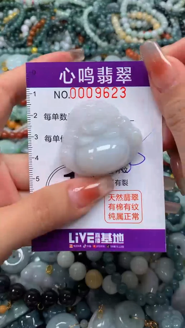 颈饰未镶嵌翡翠闪购009623