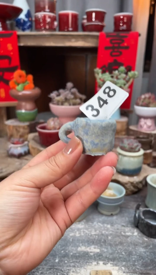 【闪购商品】摆件348知木小芳花盆