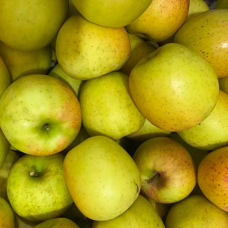 昭通洒渔瑞雪苹果 -雀斑女神