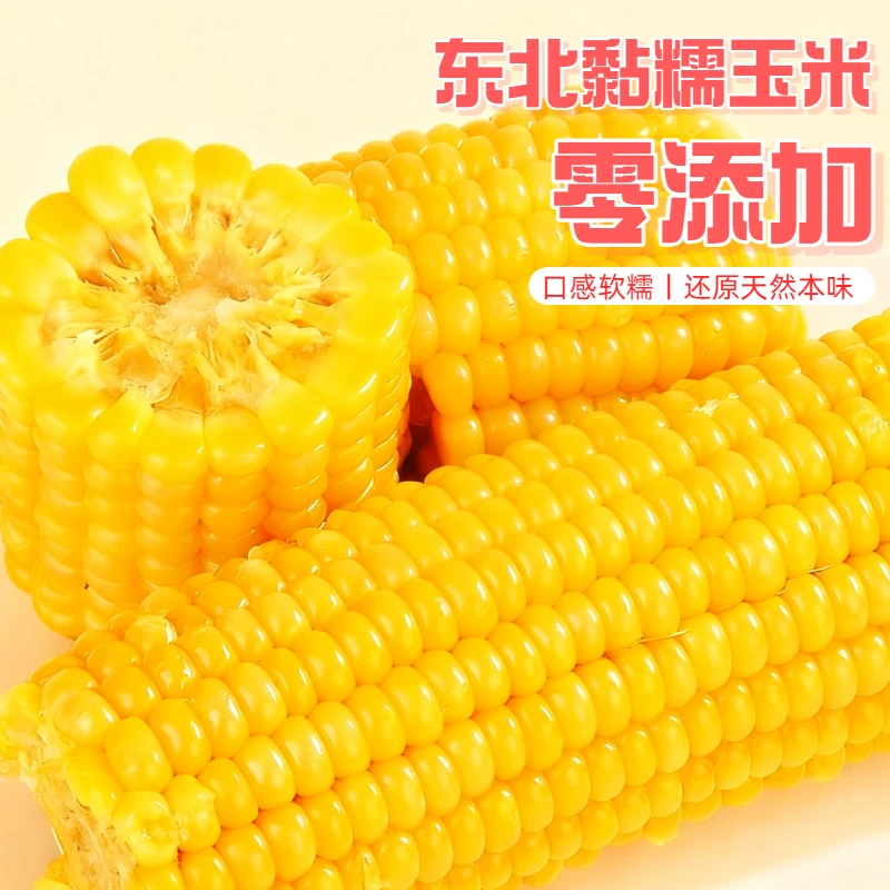 [益膳源]2025东北甜糯玉米240g*10