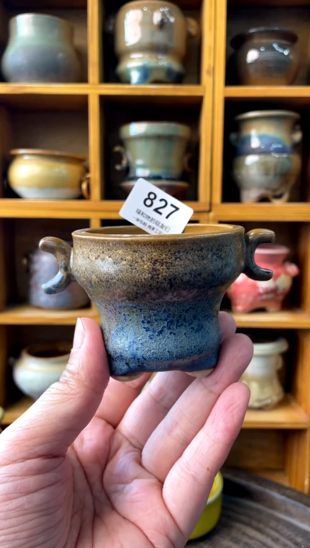 827【多肉花盆多肉盆】