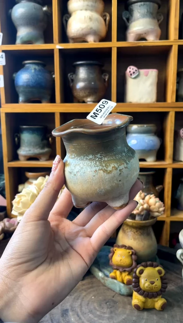 509内口7【多肉花盆多肉盆】1