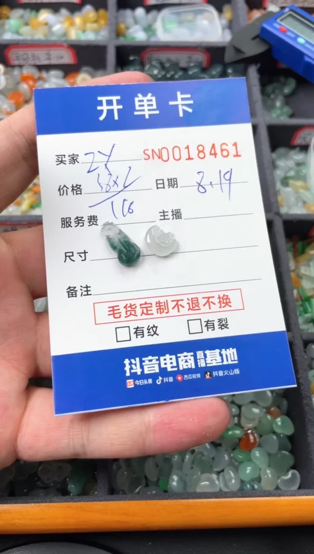 翡翠未镶嵌颈饰Z*00018461