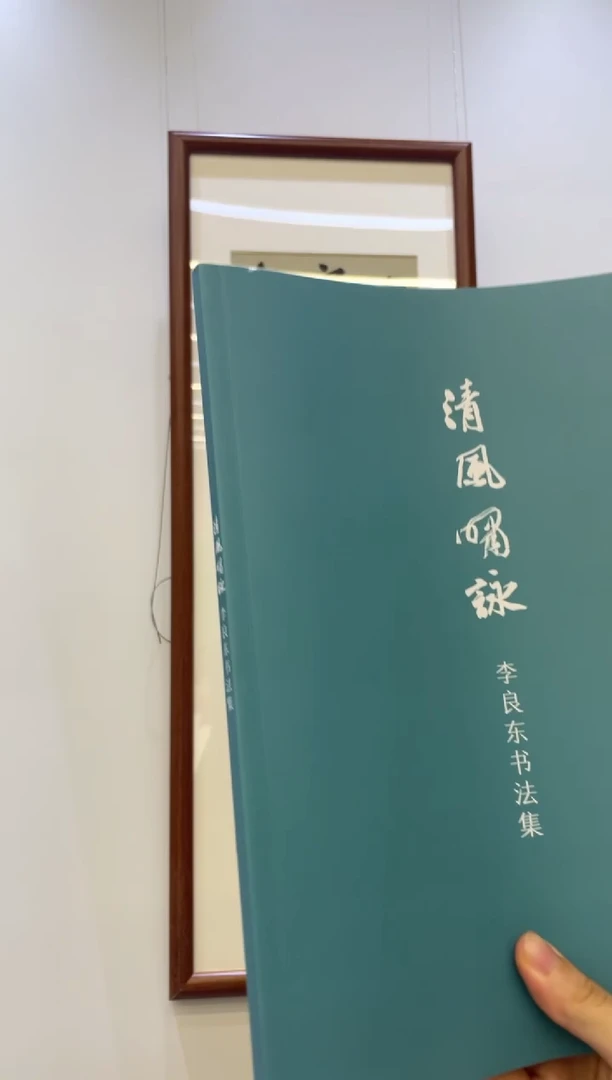 书法李良东书法绘画18