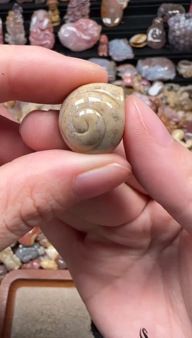 颈饰未镶嵌硅化珊瑚（珊瑚玉）073