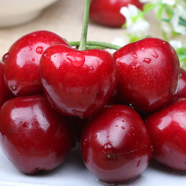 【2JD车厘子原箱】原装智利2JD拉宾斯车厘子 脆甜爆汁 口感好 整箱5斤