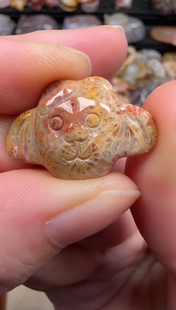 硅化珊瑚（珊瑚玉）未镶嵌颈饰009