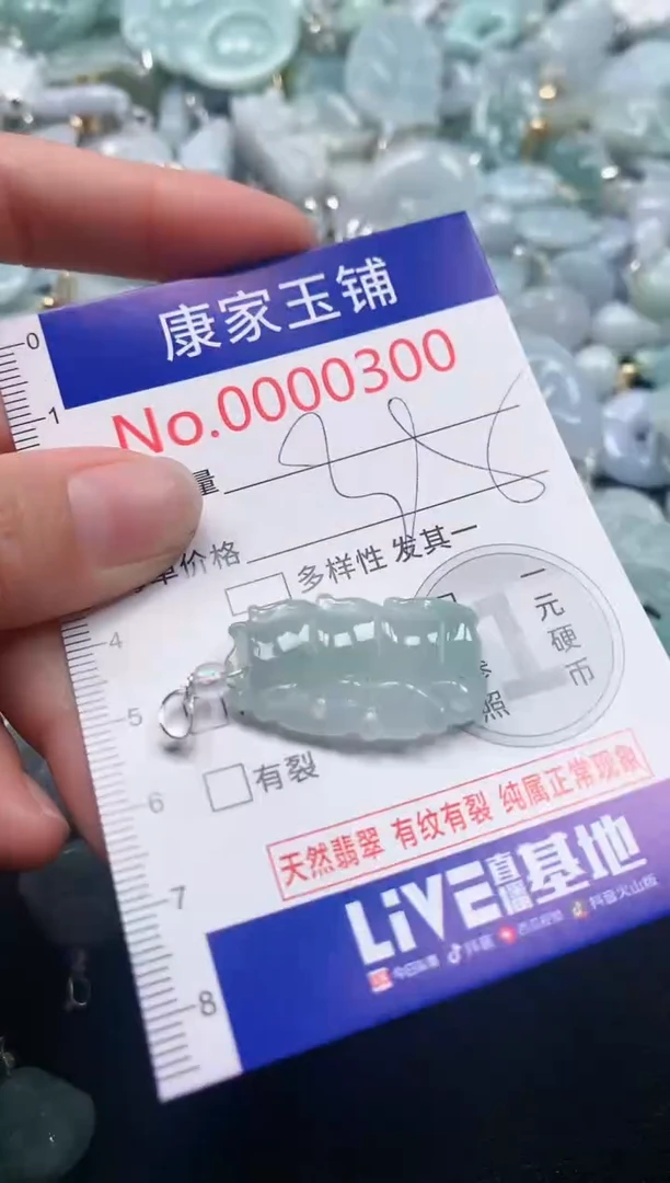 吊坠(不含链)未镶嵌翡翠300