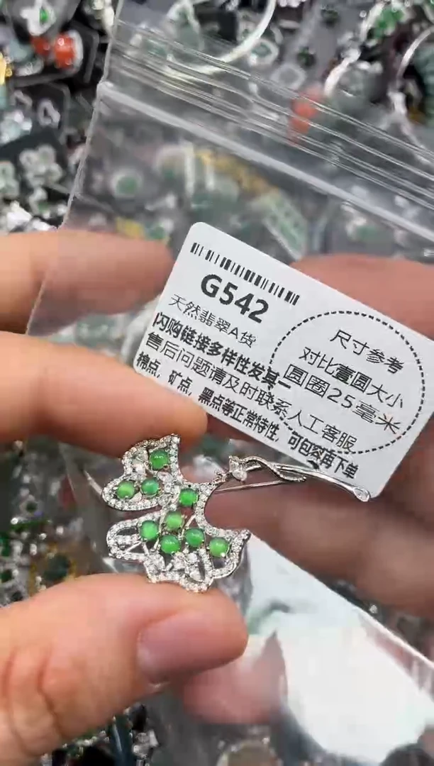 颈饰未镶嵌翡翠G542胸针