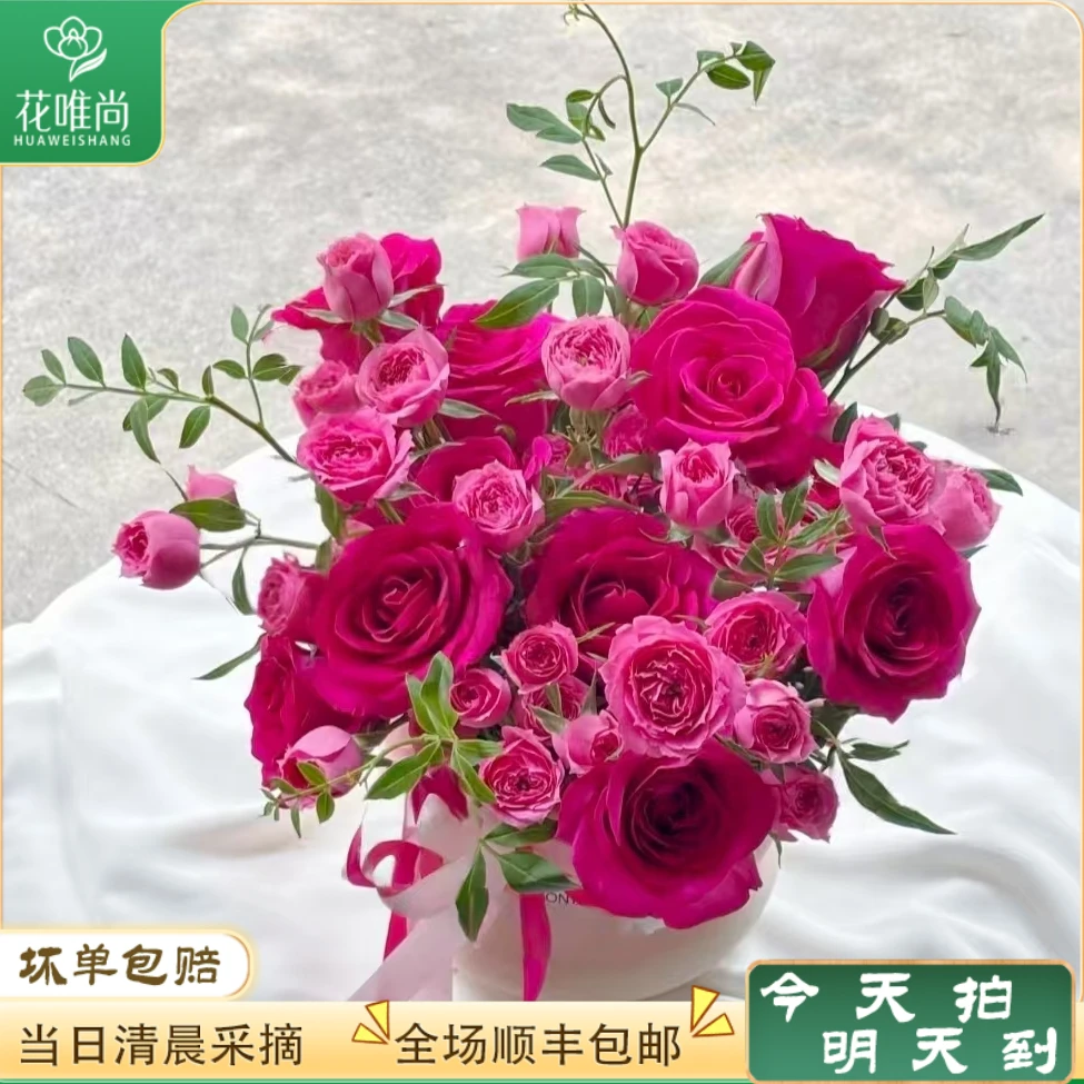 次日达-秋天送自己的第一束花【莫奈花园】5苏菲宝贝5弗洛伊德5九星叶鲜花三单送随机花瓶一个今天拍明天到