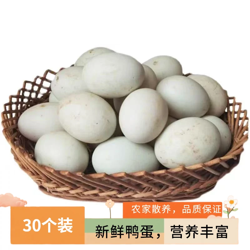 批发【现捡尝鲜】散养新鲜鸭蛋生鸭蛋土鸭蛋农家鸭蛋大个原生态