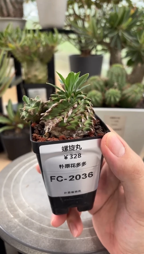 螺旋丸FC-2036
