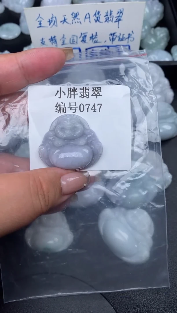 翡翠未镶嵌颈饰缅甸天然A货翡翠0747
