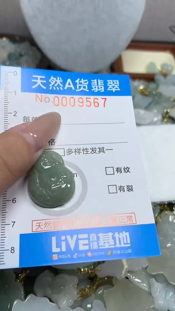 翡翠未镶嵌颈饰净货挂件-9567