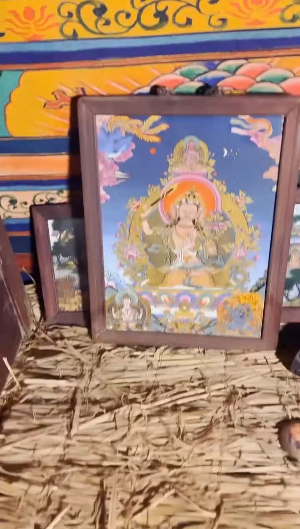 瓷片硕硕精选精品链接FWERFG